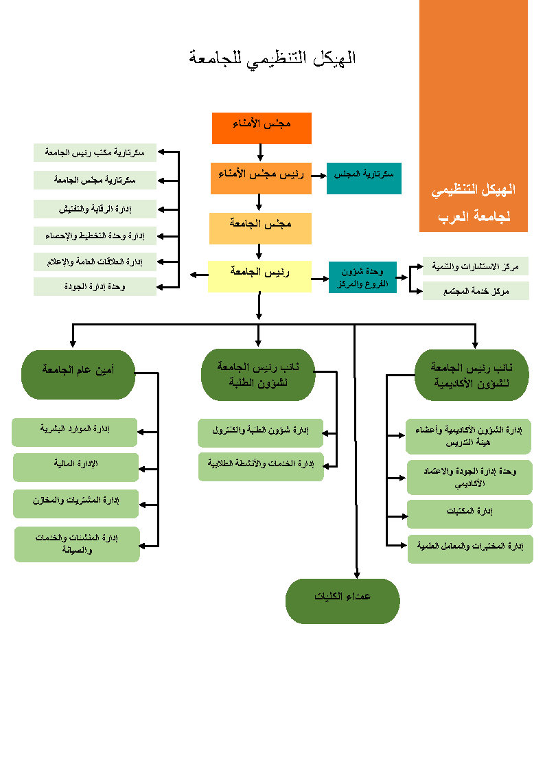الهيكل التنظيمي